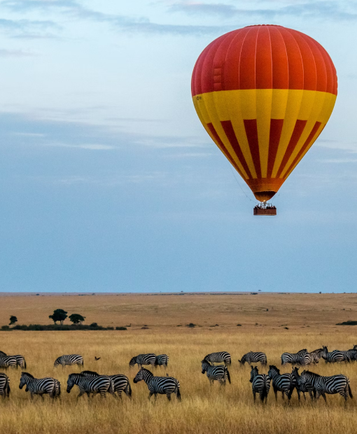 Travel eSIM for Kenya