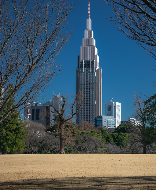 Travel eSIM for Japan