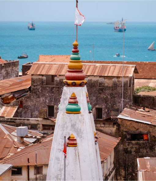 Travel eSIM for Tanzania