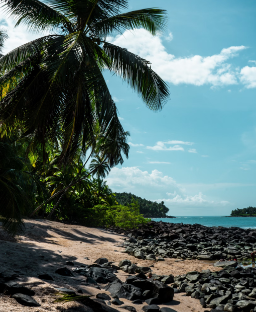 Travel eSIM for French Guiana