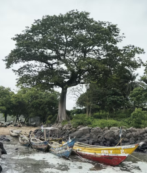 Travel eSIM for Sierra Leone