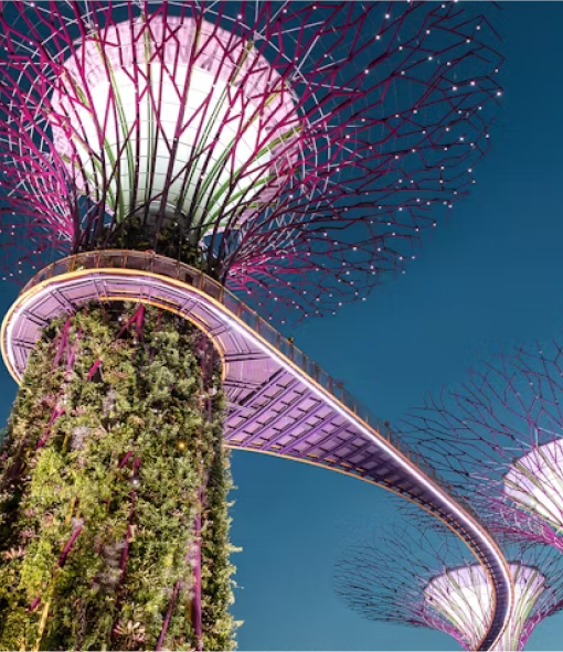 Travel eSIM for Singapore