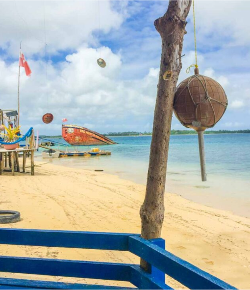 Travel eSIM for Tonga