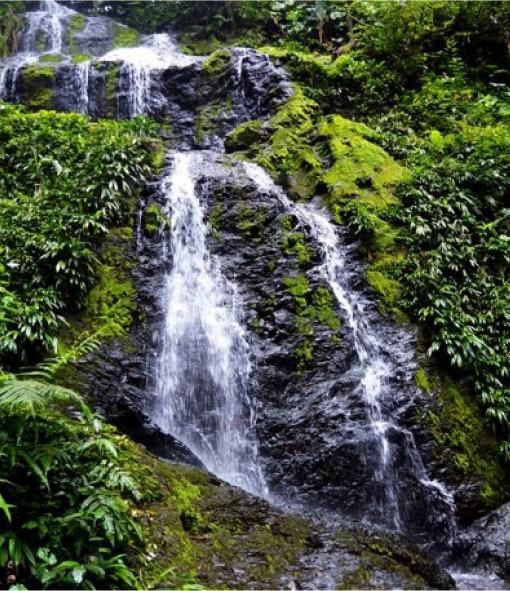 Travel eSIM for Suriname