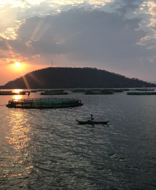 Travel eSIM for Malawi