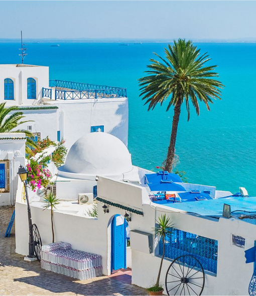 Travel eSIM for Tunisia