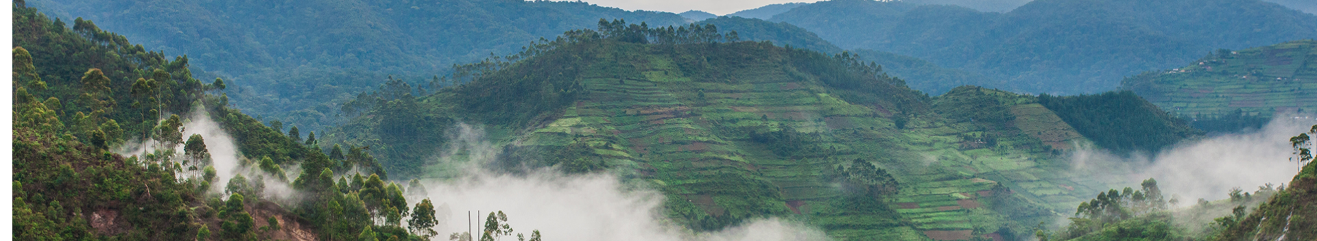 Democratic Republic of the Congo