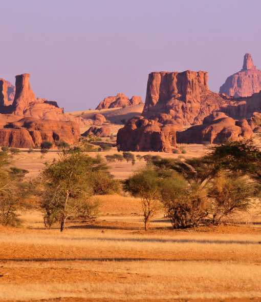 Travel eSIM for Chad